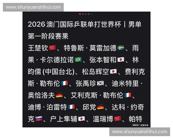 世界杯官方入口全面指南带你掌握赛程新闻赛事精彩瞬间